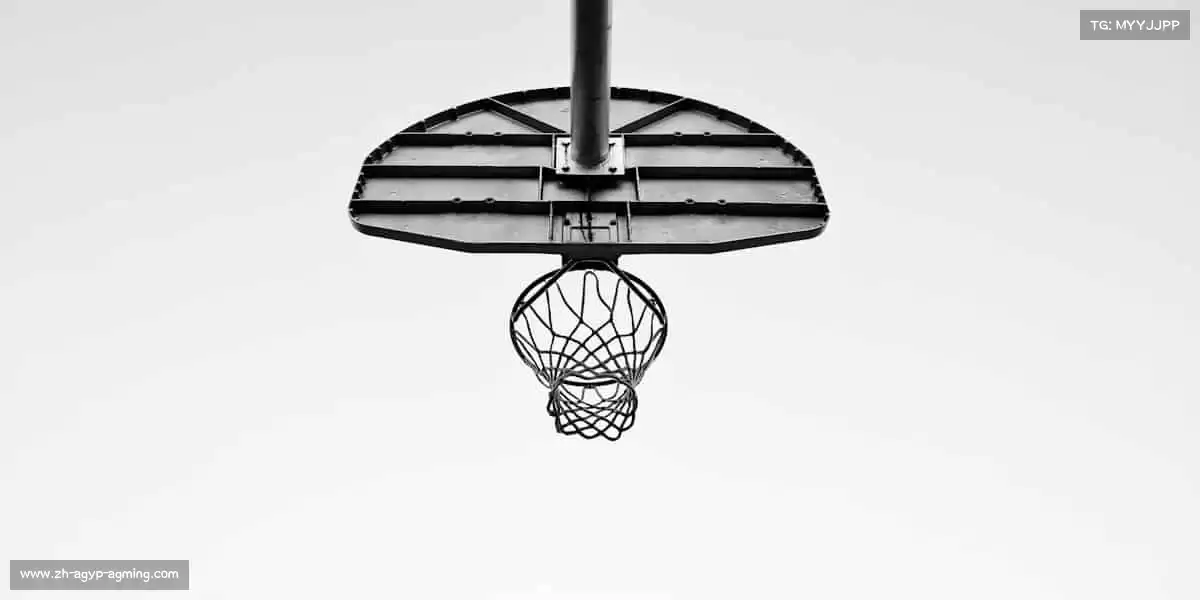 AG娱乐登录——🏓小球转动大梦想，拼搏成就每一刻！​